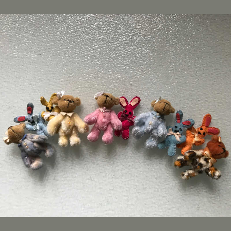 Five Valley Bears