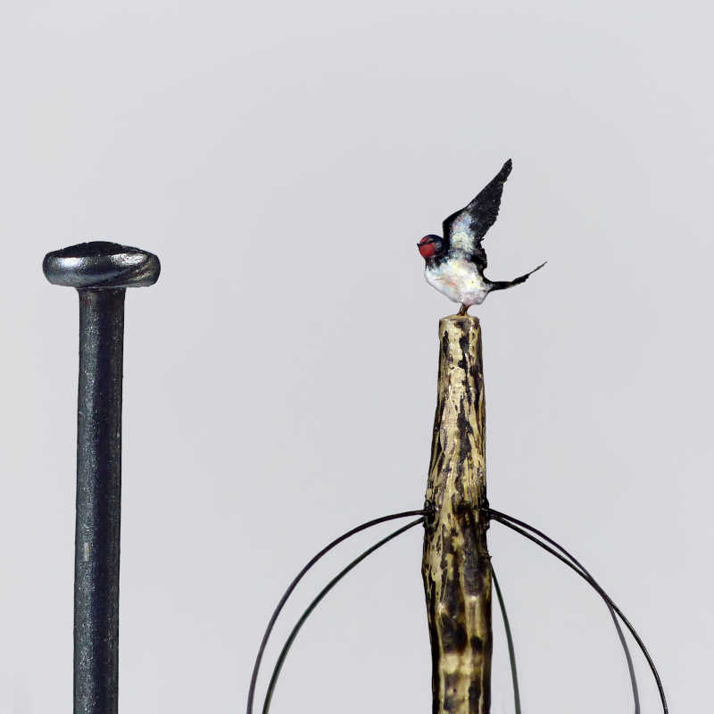 Microsculptures