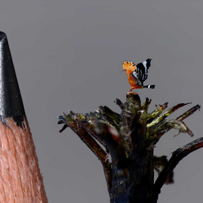 Microsculptures