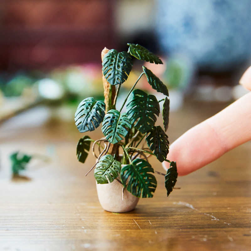 Lemon Miniatures