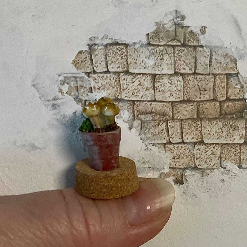 Magic Minis By Sam