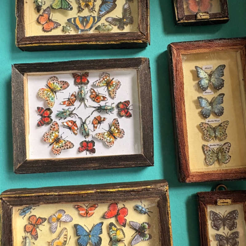 1/12th scale Hand made felted animals, butterfly displays & cases, Felted squirrels, mice & owls.