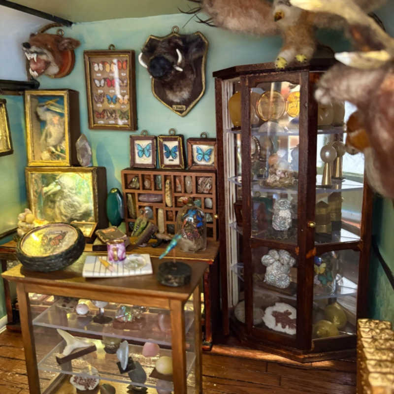 1/12th scale Hand made felted animals, butterfly displays & cases, Felted squirrels, mice & owls.