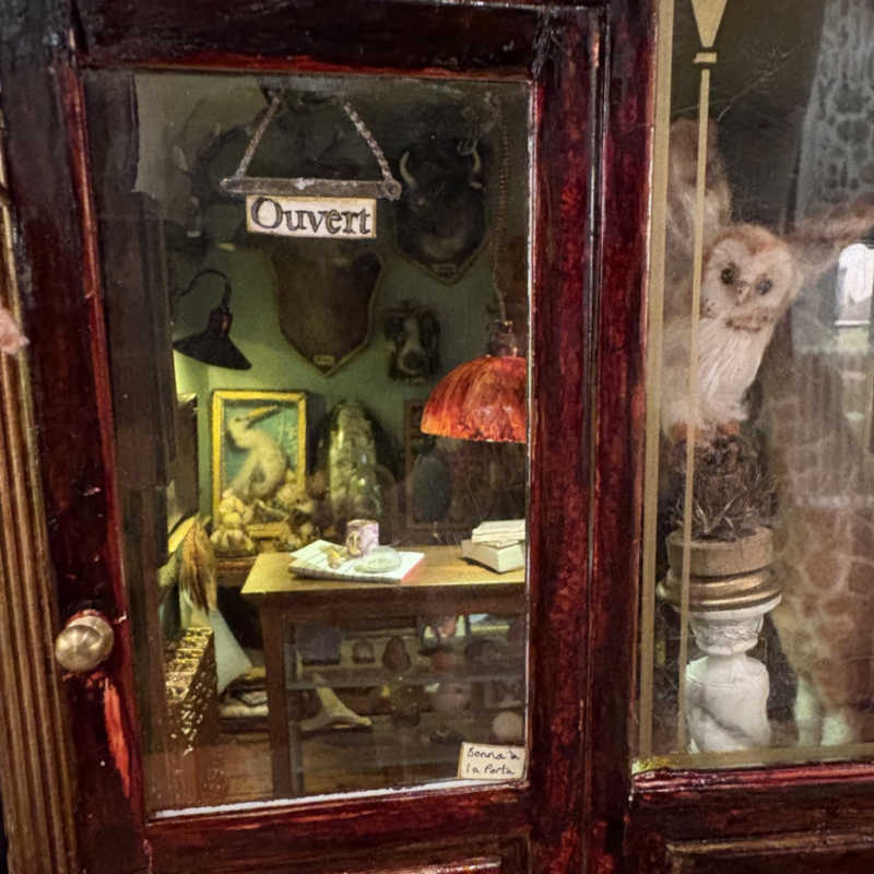 1/12th scale Hand made felted animals, butterfly displays & cases, Felted squirrels, mice & owls.